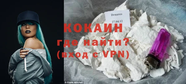 ECSTASY Богданович