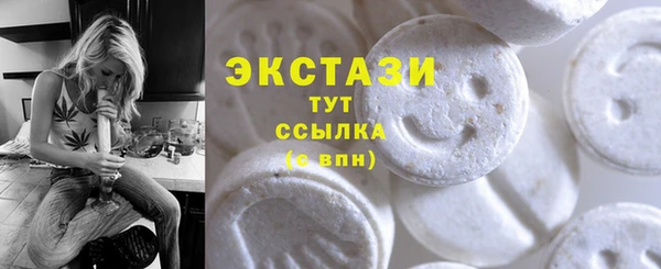 ECSTASY Богданович