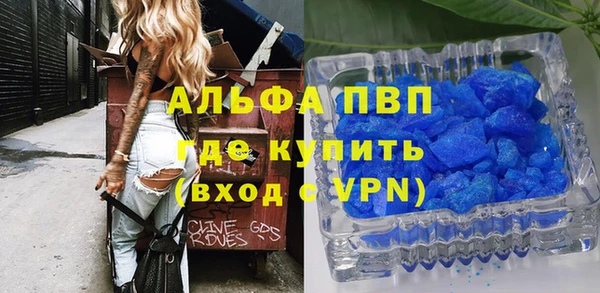 ECSTASY Богданович