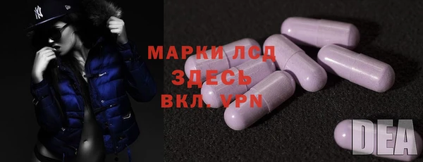 ECSTASY Богданович