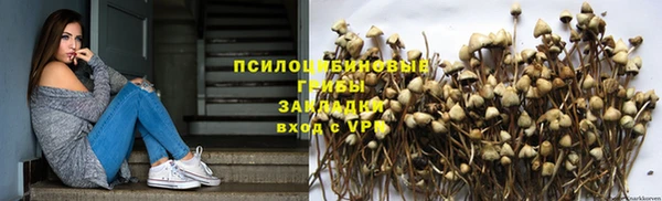 ECSTASY Богданович