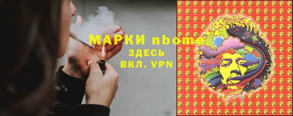ECSTASY Богданович